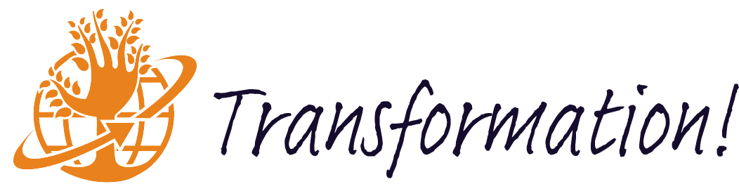 transformation-lab.lu